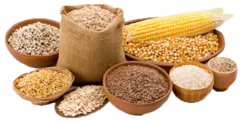 حبوب - بقوليات