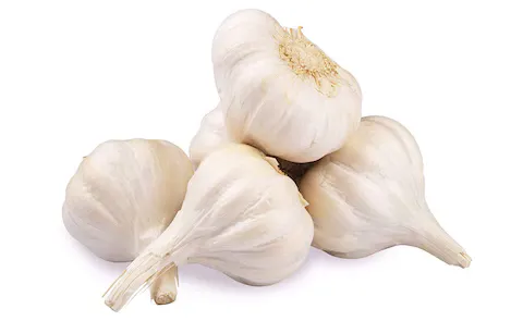 صورة المنتج