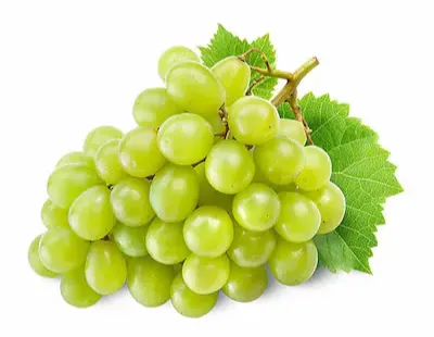 صورة المنتج