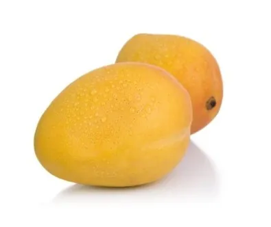 صورة المنتج