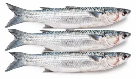 صورة المنتج