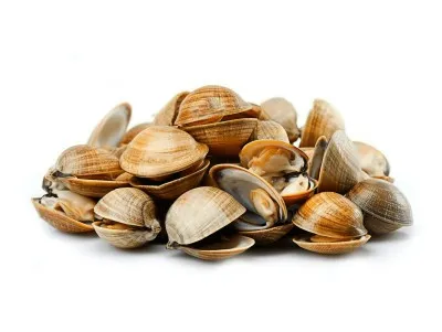 صورة المنتج