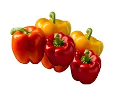 صورة المنتج