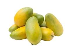 صورة المنتج